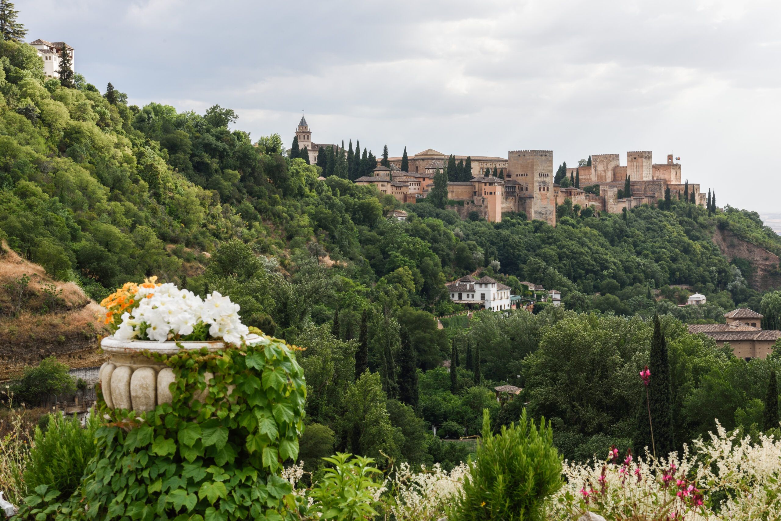 View of the famous Alhambra palace in Granada from Sacromonte qu